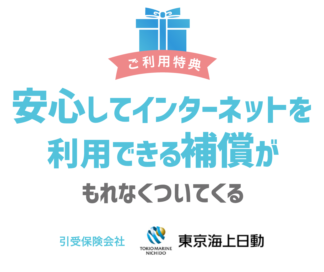 安心してインターネットを利用できる保険